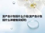 資產(chǎn)合計包括什么介紹(資產(chǎn)合計包括什么詳細情況如何)