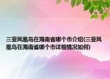 三亞鳳凰島在海南省哪個市介紹(三亞鳳凰島在海南省哪個市詳細情況如何)
