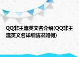 QQ非主流英文名介紹(QQ非主流英文名詳細情況如何)