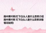 雨中黃葉樹(shù)(燈下白頭人是什么意思介紹 雨中黃葉樹(shù) 燈下白頭人是什么意思詳細(xì)情況如何)