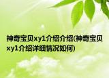 神奇寶貝xy1介紹介紹(神奇寶貝xy1介紹詳細情況如何)
