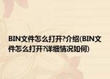 BIN文件怎么打開?介紹(BIN文件怎么打開?詳細(xì)情況如何)