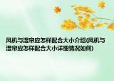 風(fēng)機(jī)與濕簾應(yīng)怎樣配合大小介紹(風(fēng)機(jī)與濕簾應(yīng)怎樣配合大小詳細(xì)情況如何)