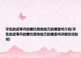 辛集的皮革真的要比其他地方的便宜嗎介紹(辛集的皮革真的要比其他地方的便宜嗎詳細(xì)情況如何)