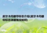 皮爾卡丹腰帶標(biāo)志介紹(皮爾卡丹腰帶標(biāo)志詳細(xì)情況如何)