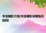 華龍梅影介紹(華龍梅影詳細情況如何)