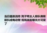 當(dāng)日最新消息 狗子陪主人排隊做核酸抖成電動臀 現(xiàn)場畫面曝光太可愛了