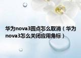 華為nova3圓點怎么取消（華為nova3怎么關閉應用角標）