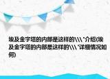埃及金字塔的內(nèi)部是這樣的\