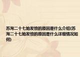 蘇洵二十七始發(fā)憤的原因是什么介紹(蘇洵二十七始發(fā)憤的原因是什么詳細(xì)情況如何)