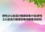 野性之心的活力根須效果介紹(野性之心的活力根須效果詳細(xì)情況如何)