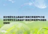 賽爾號犀牛怎么練最好?(用來打多精靈PK介紹 賽爾號犀牛怎么練最好? 用來打多精靈PK詳細(xì)情況如何)