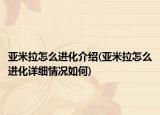 亞米拉怎么進(jìn)化介紹(亞米拉怎么進(jìn)化詳細(xì)情況如何)