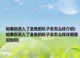 如果你進(jìn)入了金魚的肚子會(huì)怎么樣介紹(如果你進(jìn)入了金魚的肚子會(huì)怎么樣詳細(xì)情況如何)