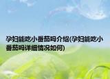 孕婦能吃小番茄嗎介紹(孕婦能吃小番茄嗎詳細(xì)情況如何)