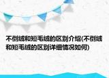 不倒絨和短毛絨的區(qū)別介紹(不倒絨和短毛絨的區(qū)別詳細情況如何)
