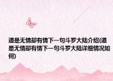 道是無情卻有情下一句斗羅大陸介紹(道是無情卻有情下一句斗羅大陸詳細情況如何)