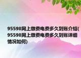 95598網上繳費電費多久到賬介紹(95598網上繳費電費多久到賬詳細情況如何)