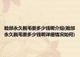 臉部永久脫毛要多少錢呢介紹(臉部永久脫毛要多少錢呢詳細(xì)情況如何)