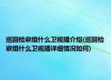 巡回檢察組什么衛(wèi)視播介紹(巡回檢察組什么衛(wèi)視播詳細(xì)情況如何)