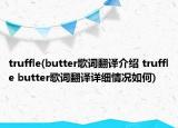 truffle(butter歌詞翻譯介紹 truffle butter歌詞翻譯詳細情況如何)