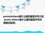punto(milano是什么面料服裝外貿(mào)介紹 punto milano是什么面料服裝外貿(mào)詳細(xì)情況如何)