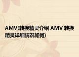 AMV(轉(zhuǎn)換精靈介紹 AMV 轉(zhuǎn)換精靈詳細情況如何)