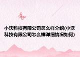 小沃科技有限公司怎么樣介紹(小沃科技有限公司怎么樣詳細(xì)情況如何)