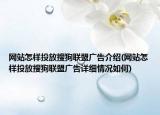 網(wǎng)站怎樣投放搜狗聯(lián)盟廣告介紹(網(wǎng)站怎樣投放搜狗聯(lián)盟廣告詳細情況如何)