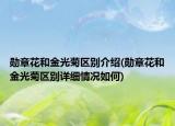 勛章花和金光菊區(qū)別介紹(勛章花和金光菊區(qū)別詳細(xì)情況如何)