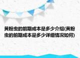 黃粉蟲的前期成本是多少介紹(黃粉蟲的前期成本是多少詳細(xì)情況如何)