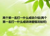 兩個(gè)第一名打一什么成語(yǔ)介紹(兩個(gè)第一名打一什么成語(yǔ)詳細(xì)情況如何)