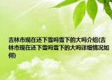 吉林市現(xiàn)在還下雪嗎雪下的大嗎介紹(吉林市現(xiàn)在還下雪嗎雪下的大嗎詳細(xì)情況如何)