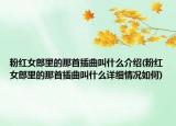 粉紅女郎里的那首插曲叫什么介紹(粉紅女郎里的那首插曲叫什么詳細(xì)情況如何)