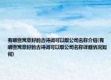 有哪些寓意好的古詩詞可以取公司名稱介紹(有哪些寓意好的古詩詞可以取公司名稱詳細情況如何)
