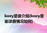 koey是誰介紹(koey是誰詳細(xì)情況如何)