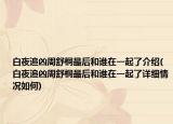 白夜追兇周舒桐最后和誰在一起了介紹(白夜追兇周舒桐最后和誰在一起了詳細情況如何)