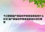 今日更新國(guó)產(chǎn)屏幕和蘋(píng)果原裝屏幕有什么區(qū)別 國(guó)產(chǎn)屏幕和蘋(píng)果原裝屏幕區(qū)別在哪里