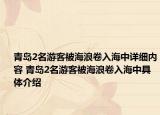 青島2名游客被海浪卷入海中詳細(xì)內(nèi)容 青島2名游客被海浪卷入海中具體介紹