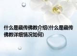 什么是藏傳佛教介紹(什么是藏傳佛教詳細情況如何)