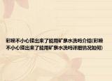 彩瞳不小心揉出來了能用礦泉水洗嗎介紹(彩瞳不小心揉出來了能用礦泉水洗嗎詳細(xì)情況如何)