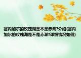 塞內(nèi)加爾的玫瑰湖是不是赤潮?介紹(塞內(nèi)加爾的玫瑰湖是不是赤潮?詳細(xì)情況如何)