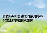 奔騰e6600怎么樣介紹(奔騰e6600怎么樣詳細情況如何)
