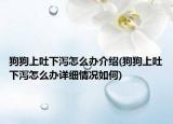 狗狗上吐下瀉怎么辦介紹(狗狗上吐下瀉怎么辦詳細情況如何)