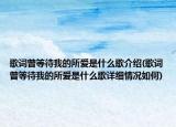 歌詞曾等待我的所愛是什么歌介紹(歌詞曾等待我的所愛是什么歌詳細情況如何)
