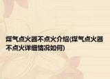 煤氣點火器不點火介紹(煤氣點火器不點火詳細情況如何)