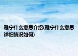 雅寧什么意思介紹(雅寧什么意思詳細(xì)情況如何)