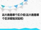 遠大路是哪個區(qū)介紹(遠大路是哪個區(qū)詳細情況如何)
