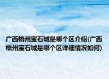 廣西梧州寶石城是哪個(gè)區(qū)介紹(廣西梧州寶石城是哪個(gè)區(qū)詳細(xì)情況如何)