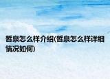 皙泉怎么樣介紹(皙泉怎么樣詳細情況如何)